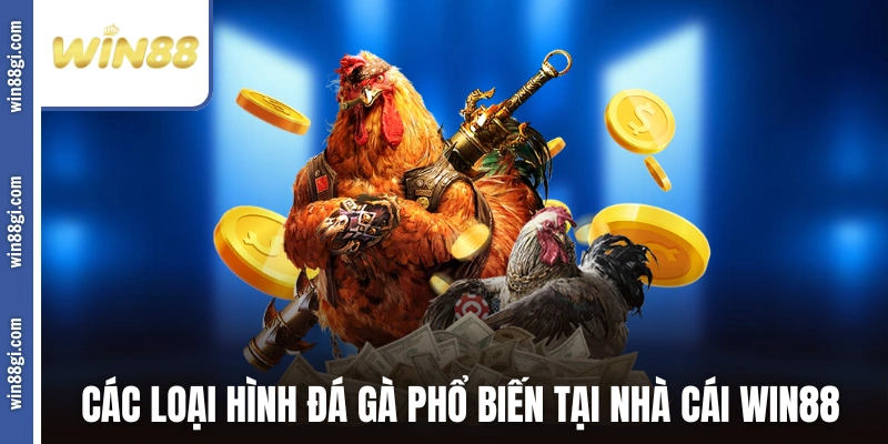 Các loại hình đá gà phổ biến tại nhà cái WIN88
