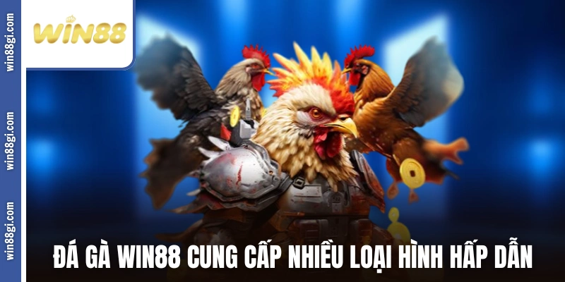 Đá gà WIN88 cung cấp nhiều loại hình hấp dẫn