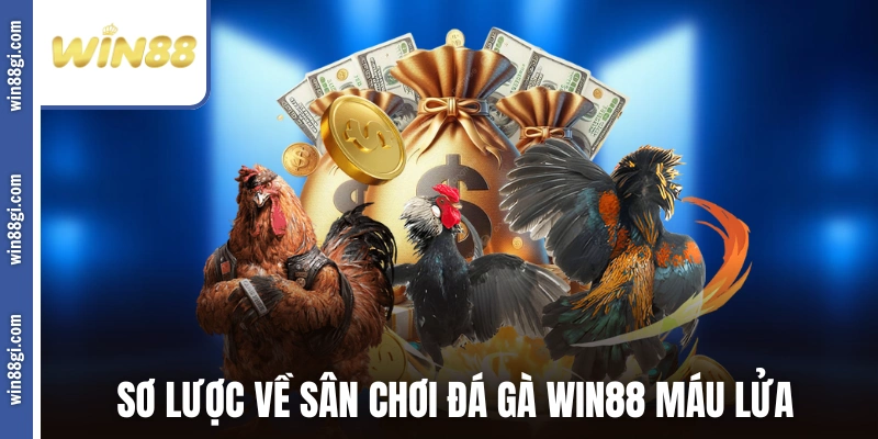 Sơ lược về sân chơi đá gà WIN88 máu lửa