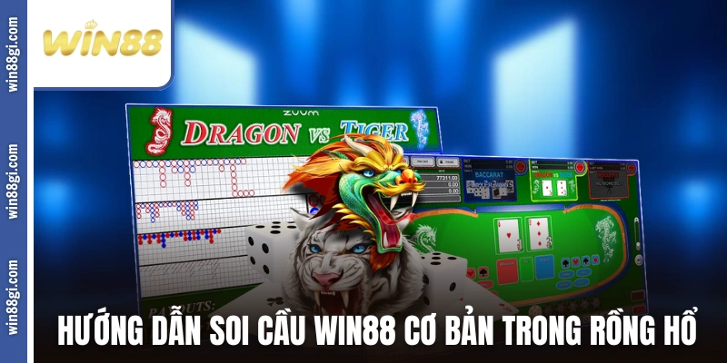 Hướng dẫn soi cầu WIN88 cơ bản trong Rồng Hổ